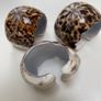 3 shell napkin holder Image 2