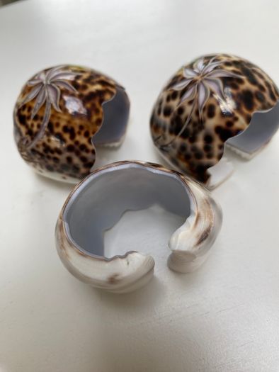 3 shell napkin holder