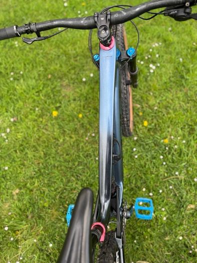 Vitus Sommet Carbon