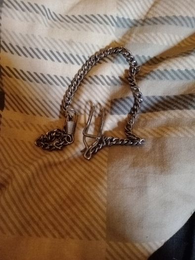 Albert Chain