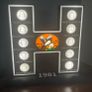 1981 Hunger Strike Light Image 6