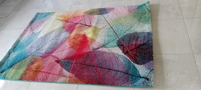 Multi coloured rug
