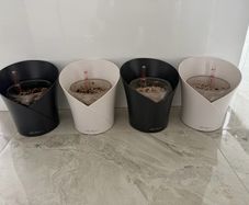 Lechuza Orchidea Self-Watering Pots x4 Slate Grey x2 & White Matte x2