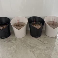 Lechuza Orchidea Self-Watering Pots x4 Slate Grey x2 & White Matte x2