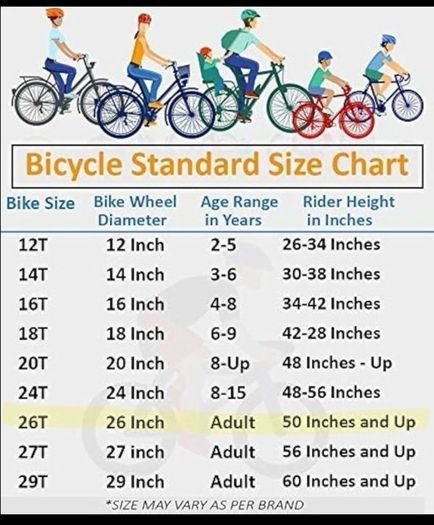 Junior boys bike 26T
