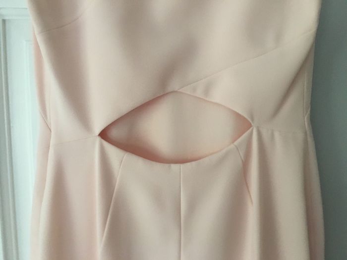 Ted Baker Dress