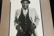 Muddy Waters Hard again lp