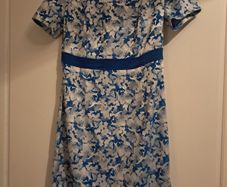 blue dress