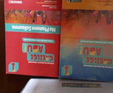 Gaeilge Abu 1, book plus workbook, both unused