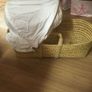 moses Image 6