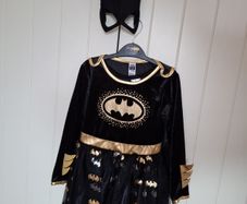 Batgirl Cotume