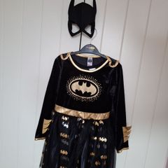 Batgirl Cotume