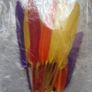 20 Multicoloured Feathers Image 2
