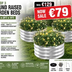 Raised Garden Beds x 3