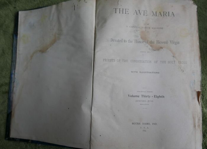 The Ave Maria A Magazine Devoted to the Honor of the Blessed Virgin 1894 and the Bible
