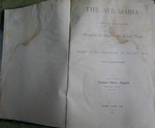 The Ave Maria A Magazine Devoted to the Honor of the Blessed Virgin 1894 and the Bible