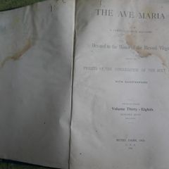 The Ave Maria A Magazine Devoted to the Honor of the Blessed Virgin 1894 and the Bible