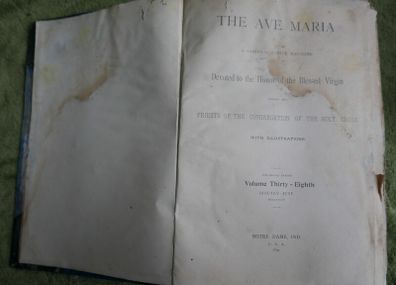 The Ave Maria A Magazine Devoted to the Honor of the Blessed Virgin 1894 and the Bible