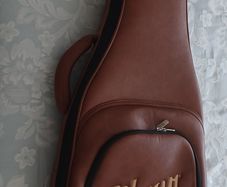 Gibson Case