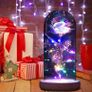 Gifts for Women Her, Beauty and the Beast Rose Forever Eternal Rose in Glass Dome, Preserved Artificial Rose Flowers with Led Light, Personalised Gifts for Christmas, Birthday, Mum, Grandma (FREE POSTAGE) Image 2