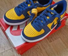 Nike Terminator Low OG "Michigan" (Gold/Navy) - UK 4 / EU 36.5 - Brand New