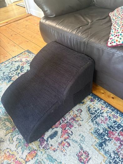 Foam Dog ramp / step