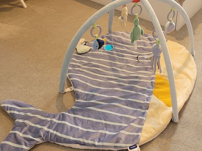 baby activity gym 0m+