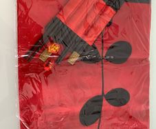 BNWT 4 Silk Place Mats with chopsticks and holder