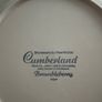 Cumberland Blackberry 3 dinner plates, 6 side plates and 1 teapot Image 3