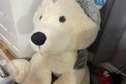 Big Dog Teddy