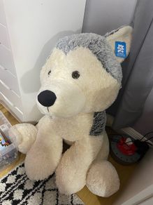 Big Dog Teddy