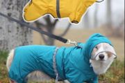 Dog Raincoat Waterproof Jacket with Hood &amp; Collar Hole Transparent Brim,Ultra-Light Breathable Reflective Jumpsuit for Short-legged Dogs Corgi Dachshund xs,s,m,L,XL