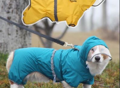 Dog Raincoat Waterproof Jacket with Hood & Collar Hole Transparent Brim,Ultra-Light Breathable Reflective Jumpsuit for Short-legged Dogs Corgi Dachshund xs,s,m,L,XL