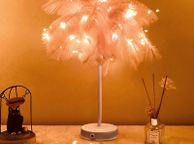 main image for ad BRAND NEW LED feather lamp table