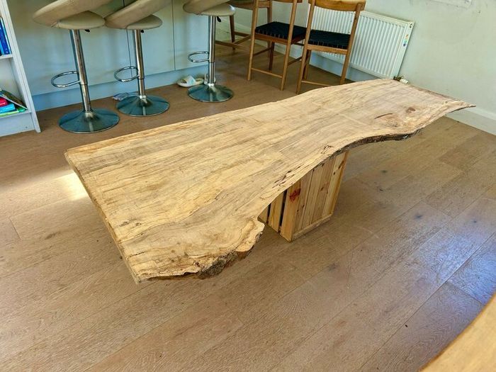 spalted beech slab