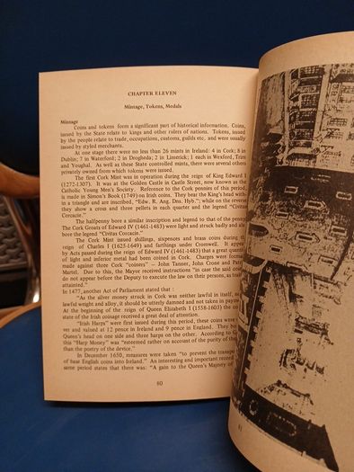 Cooke and Scanlon's Guide to Cork