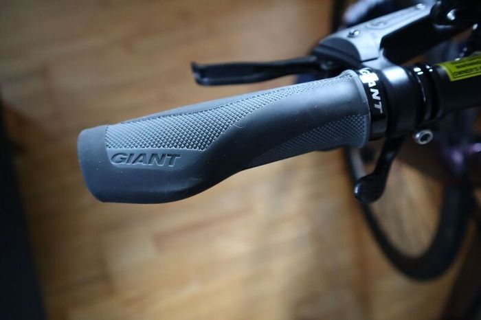 Giant Fastroad - SL1 - Medium - Wine Purple Road Bike
