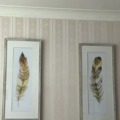 Large Feather Framed Pictures