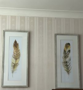 Large Feather Framed Pictures