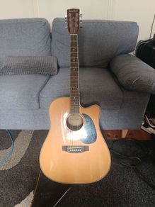 Harley Benton D-120CE