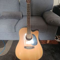 Harley Benton D-120CE