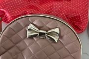 2 Small Makeup Bags