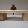 Vintage Blade Sharpening Device Image 3