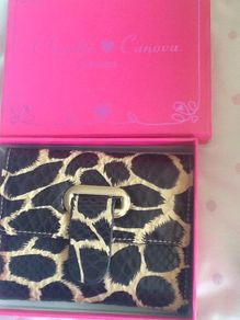 Claudia Canova purse