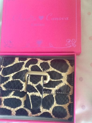 Claudia Canova purse