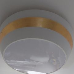 ceiling light (flush mount)