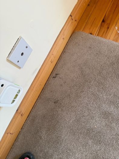 Grey Rug