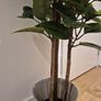 Artificial Plant Image 4