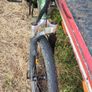 electric bike Image 4