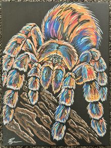 Tarantula painting
